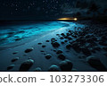 Ocean shore at night the water is full of dinoflagellat 103273306