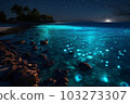 Ocean shore at night the water is full of dinoflagellat 103273307