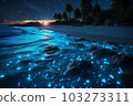 Ocean shore at night the water is full of dinoflagellat 103273311