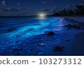 Ocean shore at night the water is full of dinoflagellat 103273312