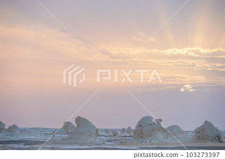 morning white desert morning white desert 103273397