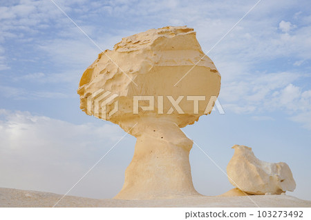 White desert White desert 103273492