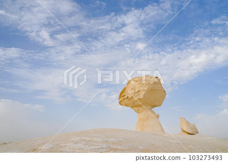 White desert White desert 103273493