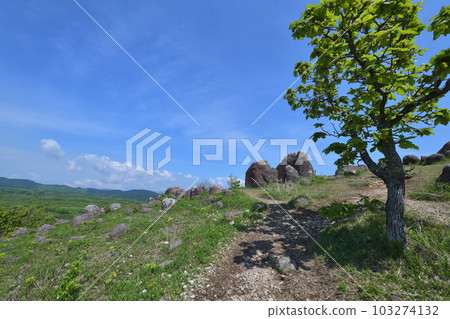 熊本縣南小國町 Oshito Stone Hill，初夏的能量景點 103274132