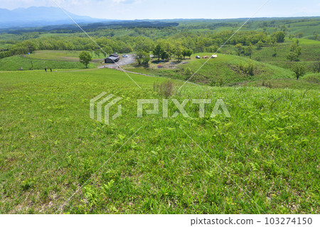 熊本縣南小國町忍石之丘，初夏的能量景點，行政大樓和露營地 103274150