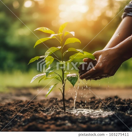 Hand Planting Tree, World Save Life, and Plant a Tree. Generative ai 103275411