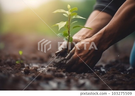 Hand Planting Tree, World Save Life, and Plant a Tree. Generative ai 103275509