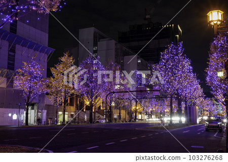 Midosuji Illuminations Midosuji Illuminations 103276268