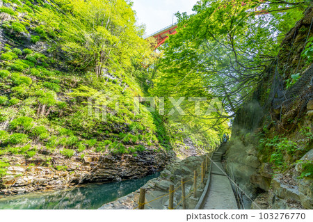 Oyasukyo Great Fountain Spring Fresh Green Oyasukyo Great Fountain Spring Fresh Green 103276770