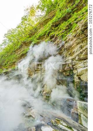 Oyasukyo Great Fountain Spring Fresh Green Oyasukyo Great Fountain Spring Fresh Green 103276772