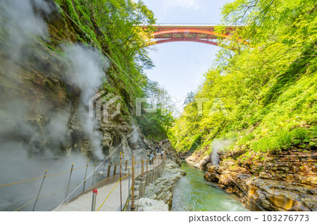 Oyasukyo Great Fountain Spring Fresh Green 103276773