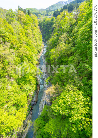 Oyasukyo Great Fountain Spring Fresh Green 103276776