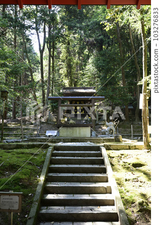 近江神宮 Sumatsu Yohaiden 近江神宮 Sumatsu Yohaiden 103276833
