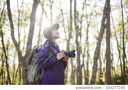 A Japanese female photographer in her 30s enjoying her hobby photography in the summer forest 103277195