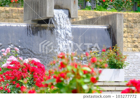Prefectural Harima Central Park Rose Garden Prefectural Harima Central Park Rose Garden 103277772