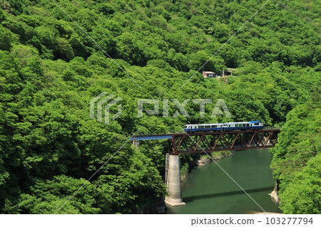 Aizu Railway/Oza Toro Observation Train Fresh green season 103277794