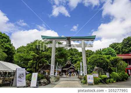 藍天綠地中的出雲大社相模原分社 藍天綠地中的出雲大社相模原分社 103277991