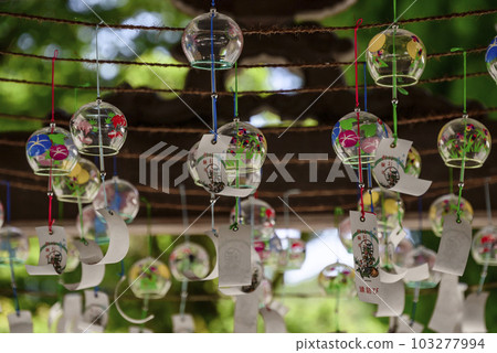Izumo Taisha Sagamihara branch shrine summer festival Izumo Taisha Sagamihara branch shrine summer festival 103277994