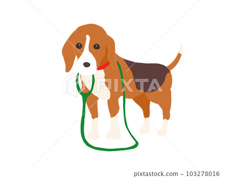 Beagle dog you want me to take for a walk Beagle dog you want me to take for a walk 103278016