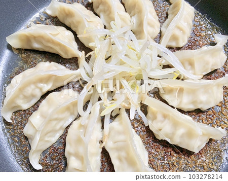 煎鍋炒餃子和豆芽照片素材 煎鍋炒餃子和豆芽照片素材 103278214