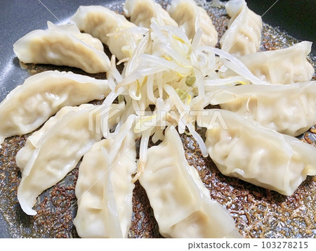 煎鍋炒餃子和豆芽照片素材 103278215