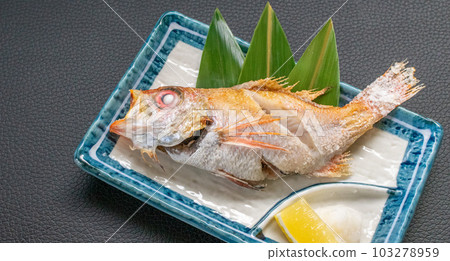 鹽烤的石斑魚 鹽烤的石斑魚 103278959