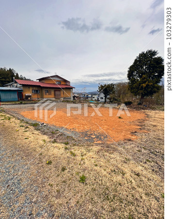 Sarachi Sarachi 103279303