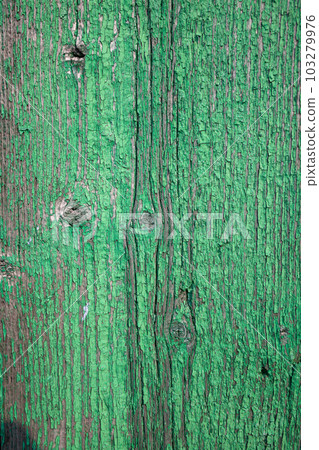 Wood texture with green flaked paint. Peeling paint on weathered wood Wood texture with green flaked paint. Peeling paint on weathered wood 103279976