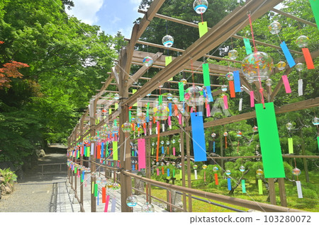 Seeking coolness 103280072