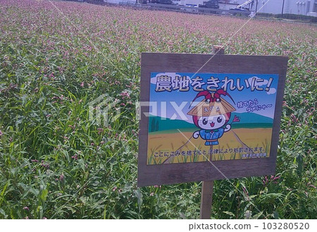 attention of the field attention of the field 103280520