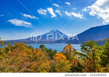 Mt.Fuji and autumn leaves at Lake Motosuko, Minobu Town, Yamanashi Prefecture 103280956