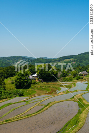 Landscape image of rice terraces after rice planting [Misaki Town, Okayama Prefecture] 103281040