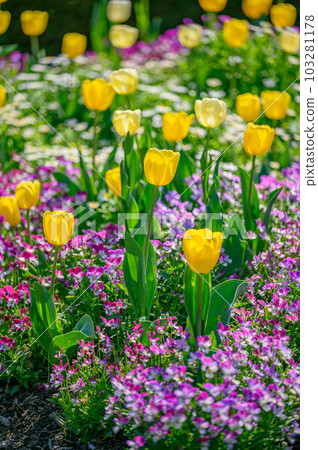 自然英式花園陽光花田 自然英式花園陽光花田 103281178
