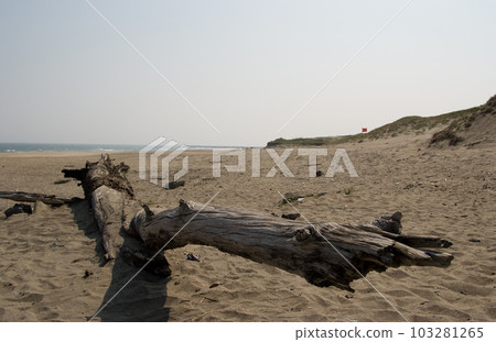 Summer Sea 103281265