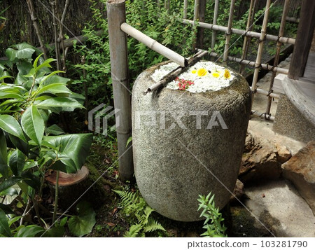 Rakushisha, a hand basin full of flowers Rakushisha, a hand basin full of flowers 103281790