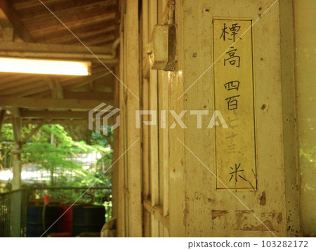 春天南海高野線沿線的各種事物 103282172