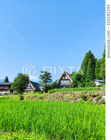 Ainokura gassho style village (summer) 103282344
