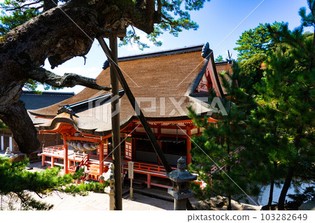 島根縣出雲市日之岬神社、日神宮（下宮）神社2號樓 103282649