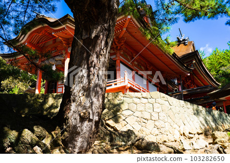 Hinomisaki Shrine, Kami no Miya (Upper Shrine), Izumo City, Shimane Prefecture 103282650