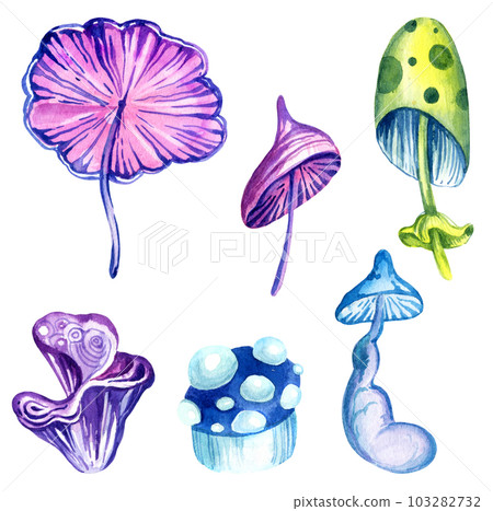 watercolor composition of fantastic cosmic mushrooms and stas on white background, hand draw illustration with magic colorful plant, neon color 103282732