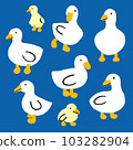 Seamless hand drawn pattern background of cute white duck ducklings. Isolated vector of ducks cartoon illustration on blue background. 103282904