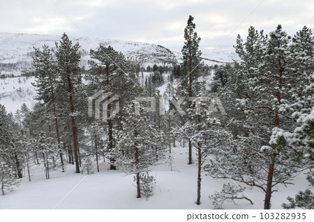 Arctic Norway in Winter Arctic Norway in Winter 103282935