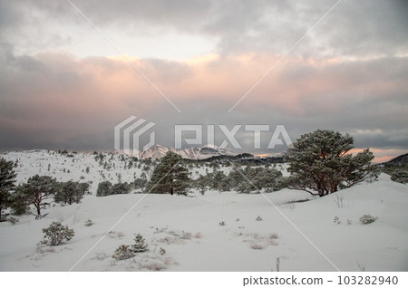 Arctic Norway in Winter 103282940