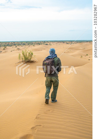 One man stands on a sand dune in the Kyzylkum desert at sunrise 103282967
