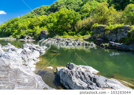 《埼玉縣》初夏的長瀞，新綠的石板路 103283044