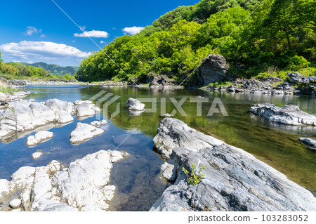 《埼玉縣》初夏的長瀞，新綠的石板路 103283052