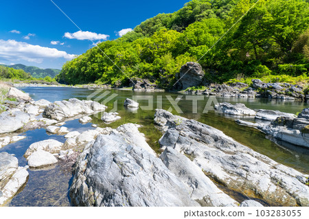 《埼玉縣》初夏的長瀞，新綠的石板路 103283055