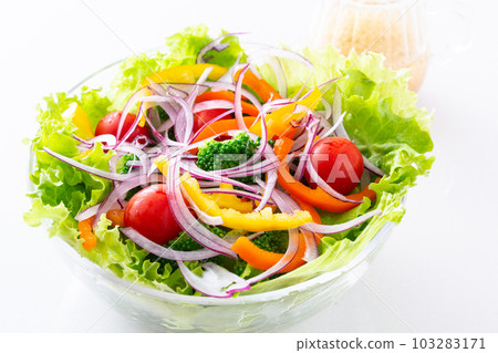 Vegetable salad and dressing on the table 103283171