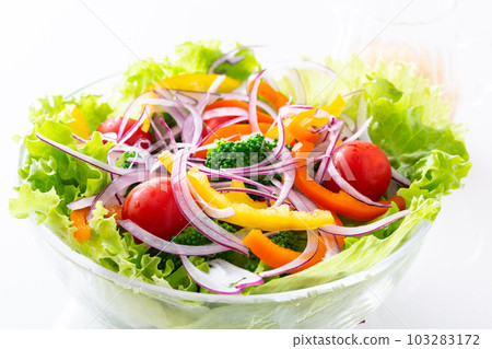 Vegetable salad and dressing on the table 103283172