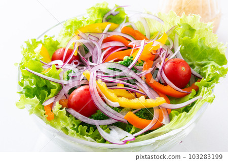 Vegetable salad and dressing on the table 103283199